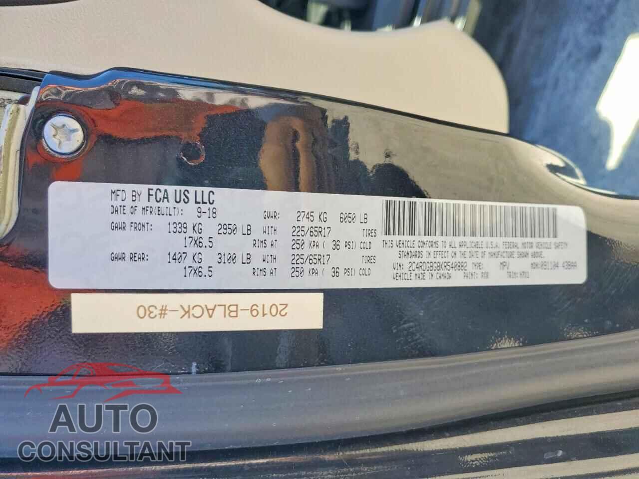 DODGE CARAVAN 2019 - 2C4RDGBG8KR540882