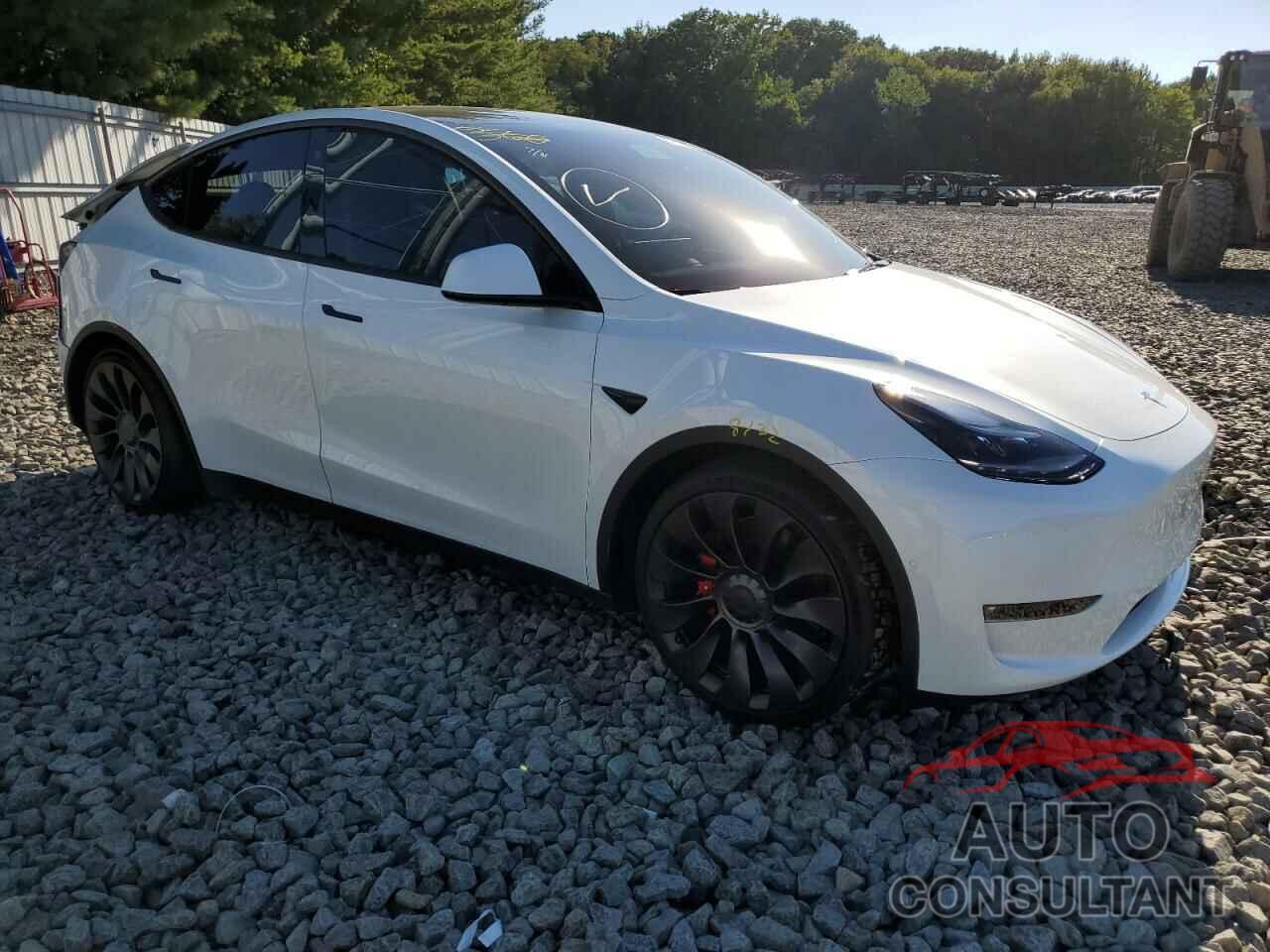 TESLA MODEL Y 2022 - 7SAYGDEF7NF372286