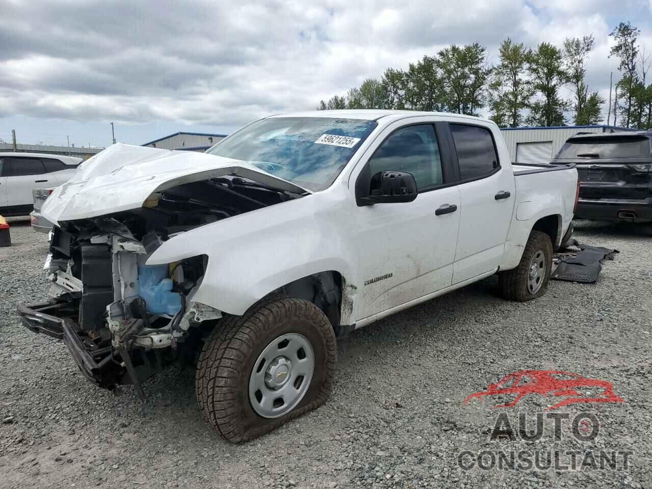CHEVROLET COLORADO 2019 - 1GCGSBEA1K1314601