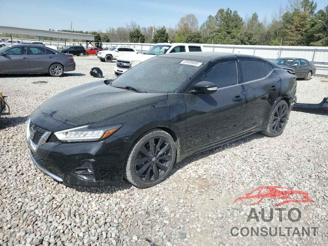 NISSAN MAXIMA 2019 - 1N4AA6AV5KC367028