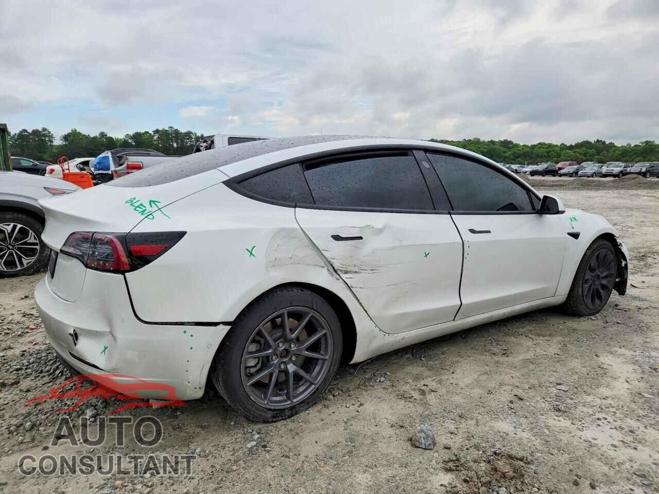 TESLA MODEL 3 2021 - 5YJ3E1EA2MF016665
