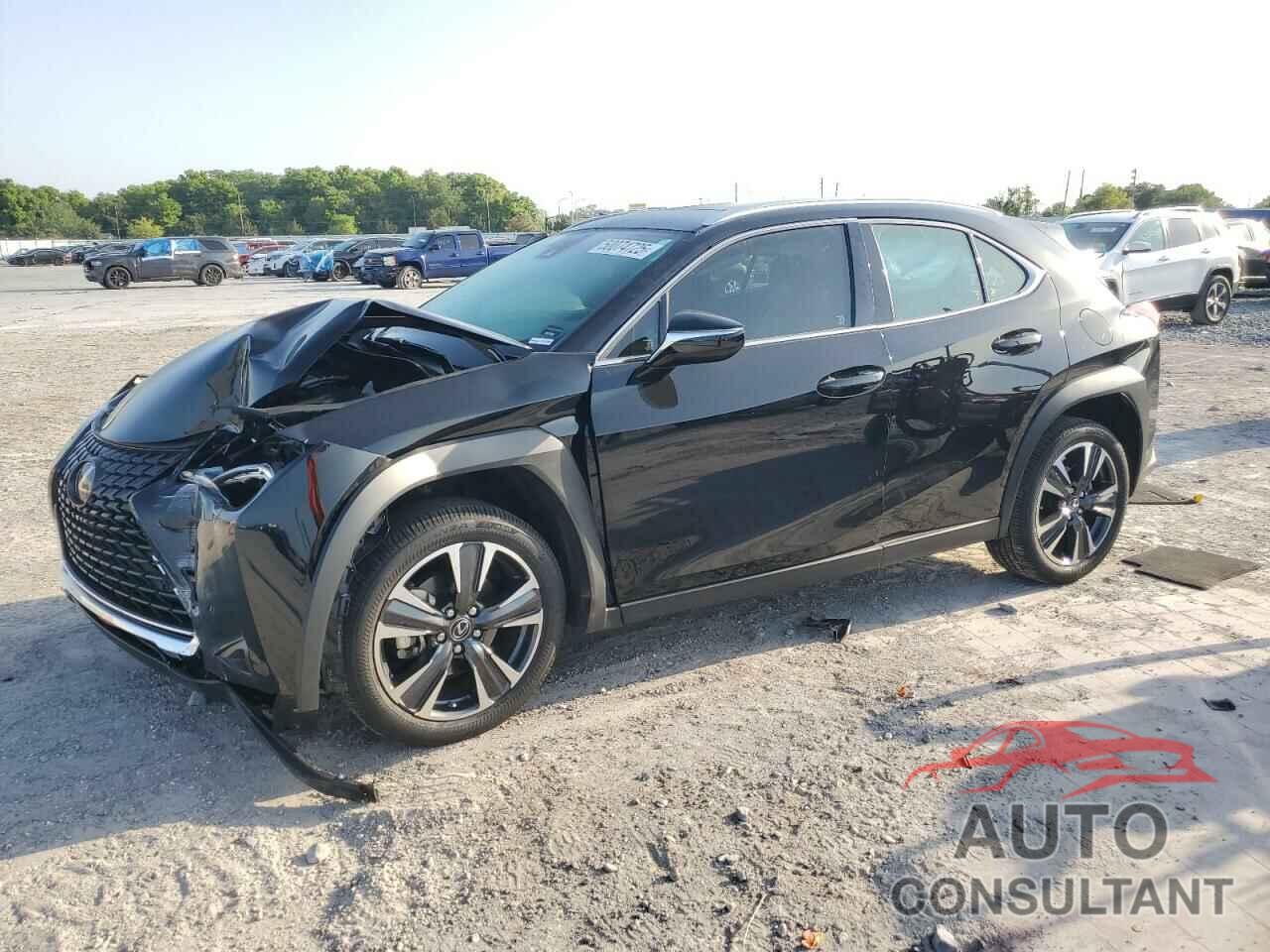 LEXUS UX 250H BA 2024 - JTHX6JBH8R2172668