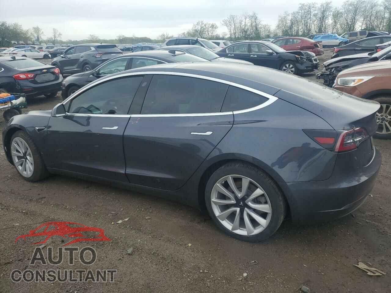 TESLA MODEL 3 2019 - 5YJ3E1EB9KF465198