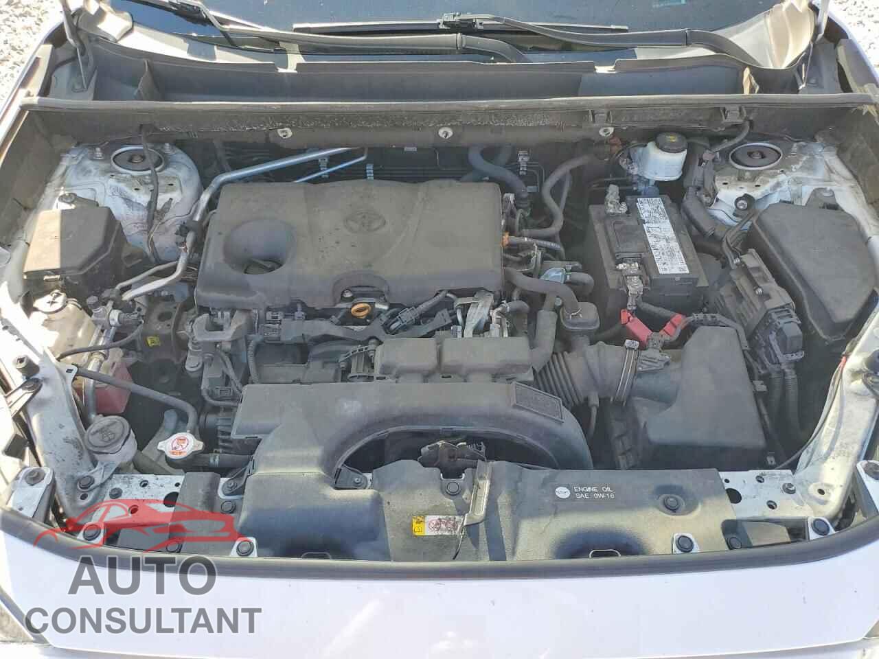 TOYOTA RAV4 2019 - 2T3H1RFV4KC031663
