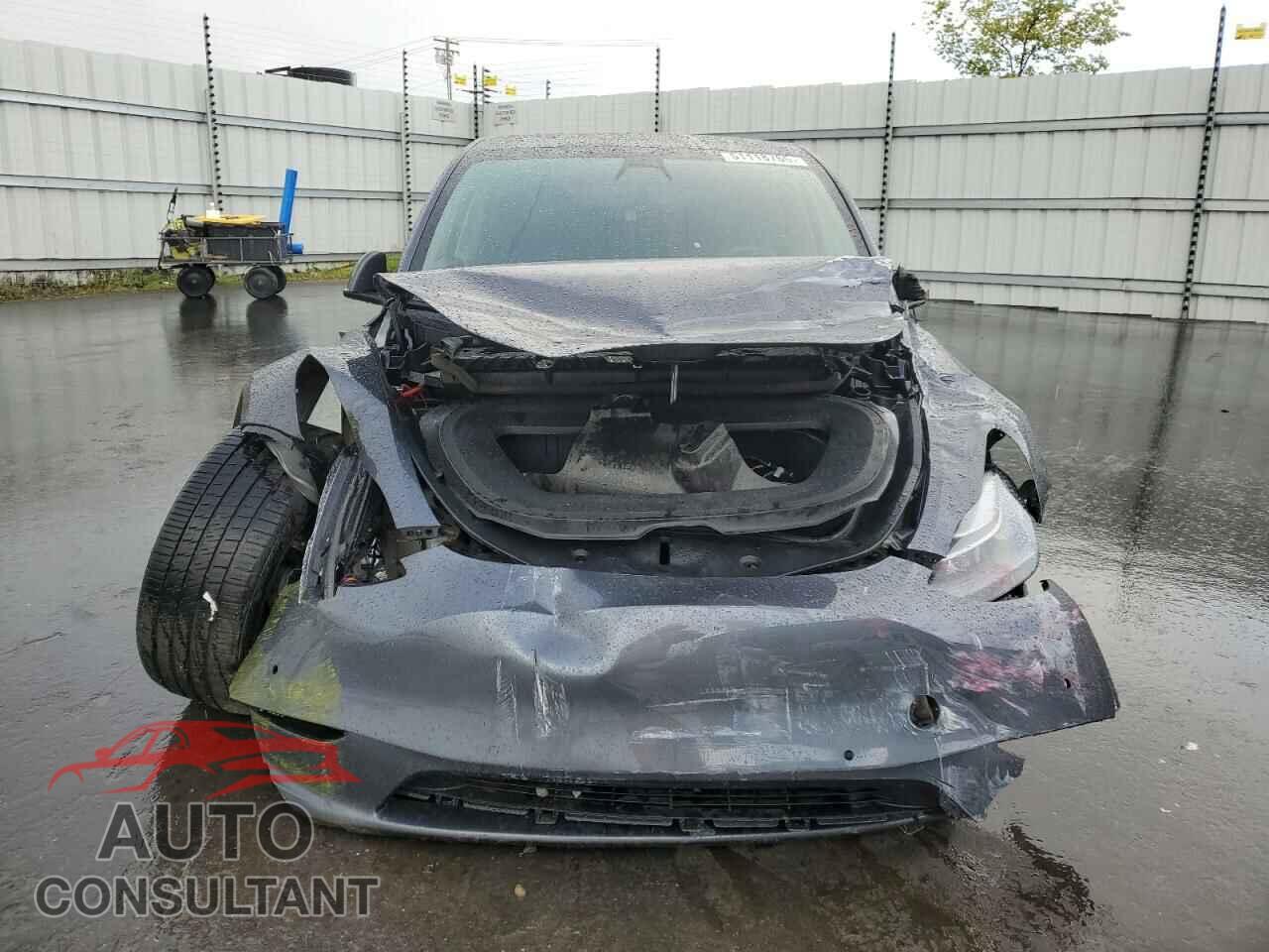 TESLA MODEL Y 2022 - 7SAYGDEF2NF488043