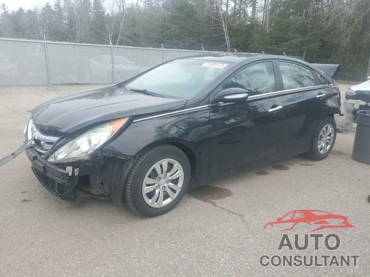 HYUNDAI SONATA 2011 - 5NPEC4AC1BH066785