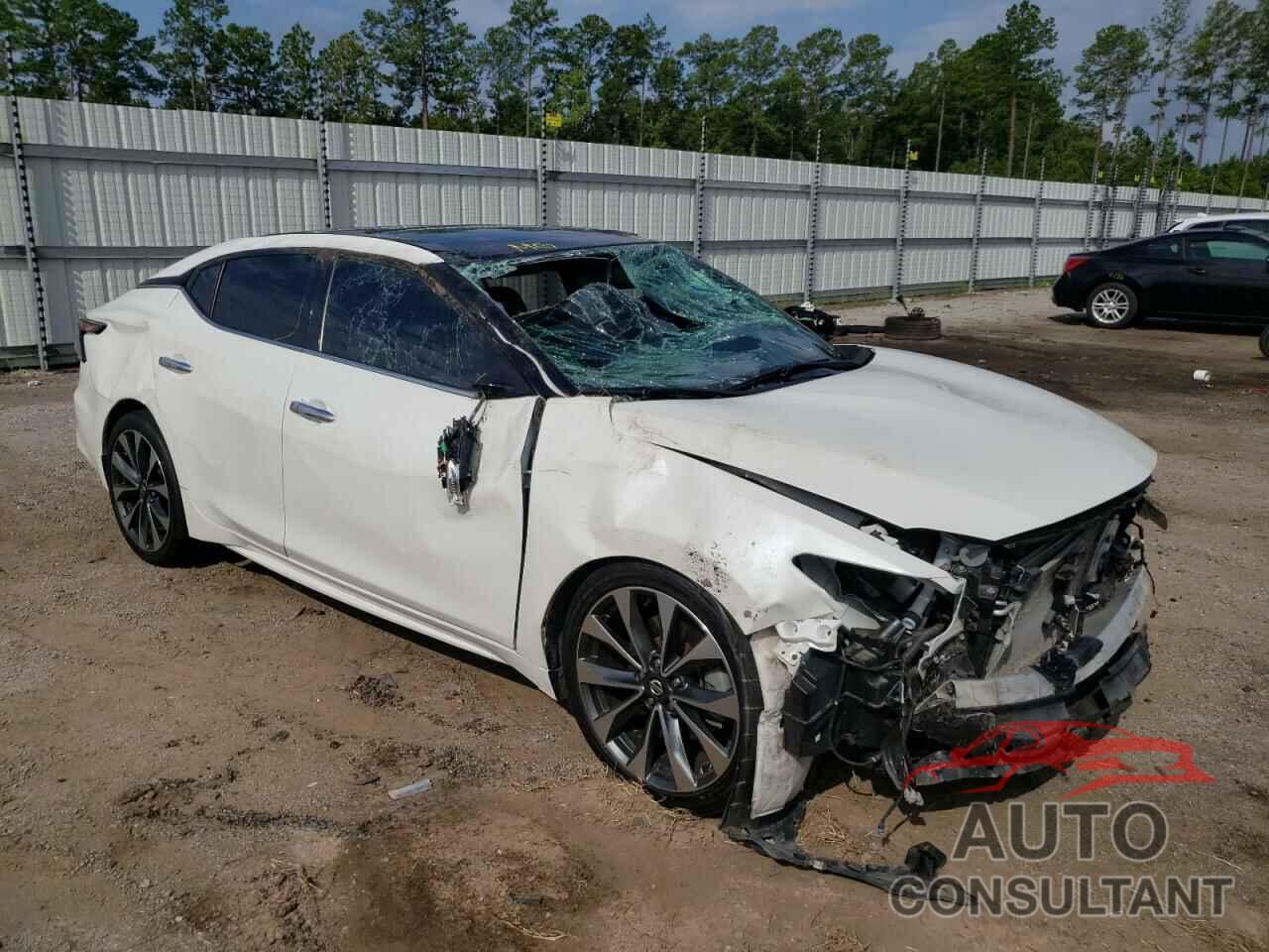 NISSAN MAXIMA 2019 - 1N4AA6AV7KC377866