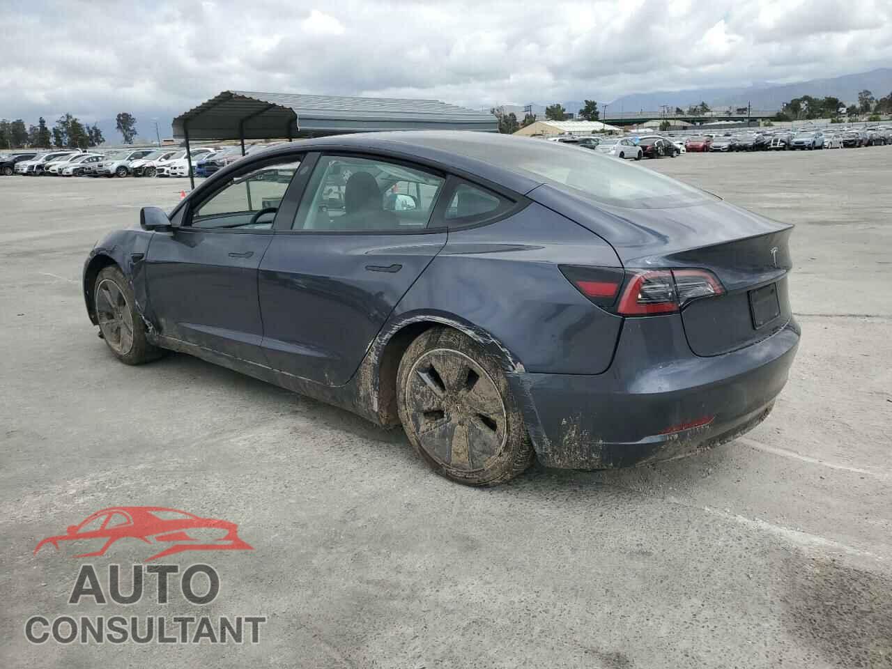 TESLA MODEL 3 2023 - 5YJ3E1EA0PF710260