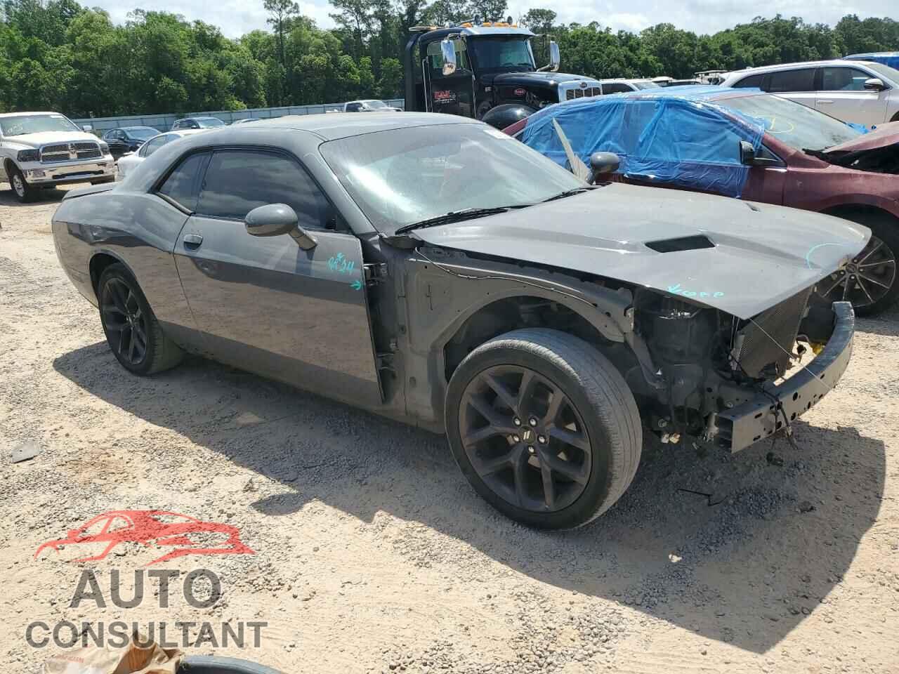 DODGE CHALLENGER 2019 - 2C3CDZAG3KH541547