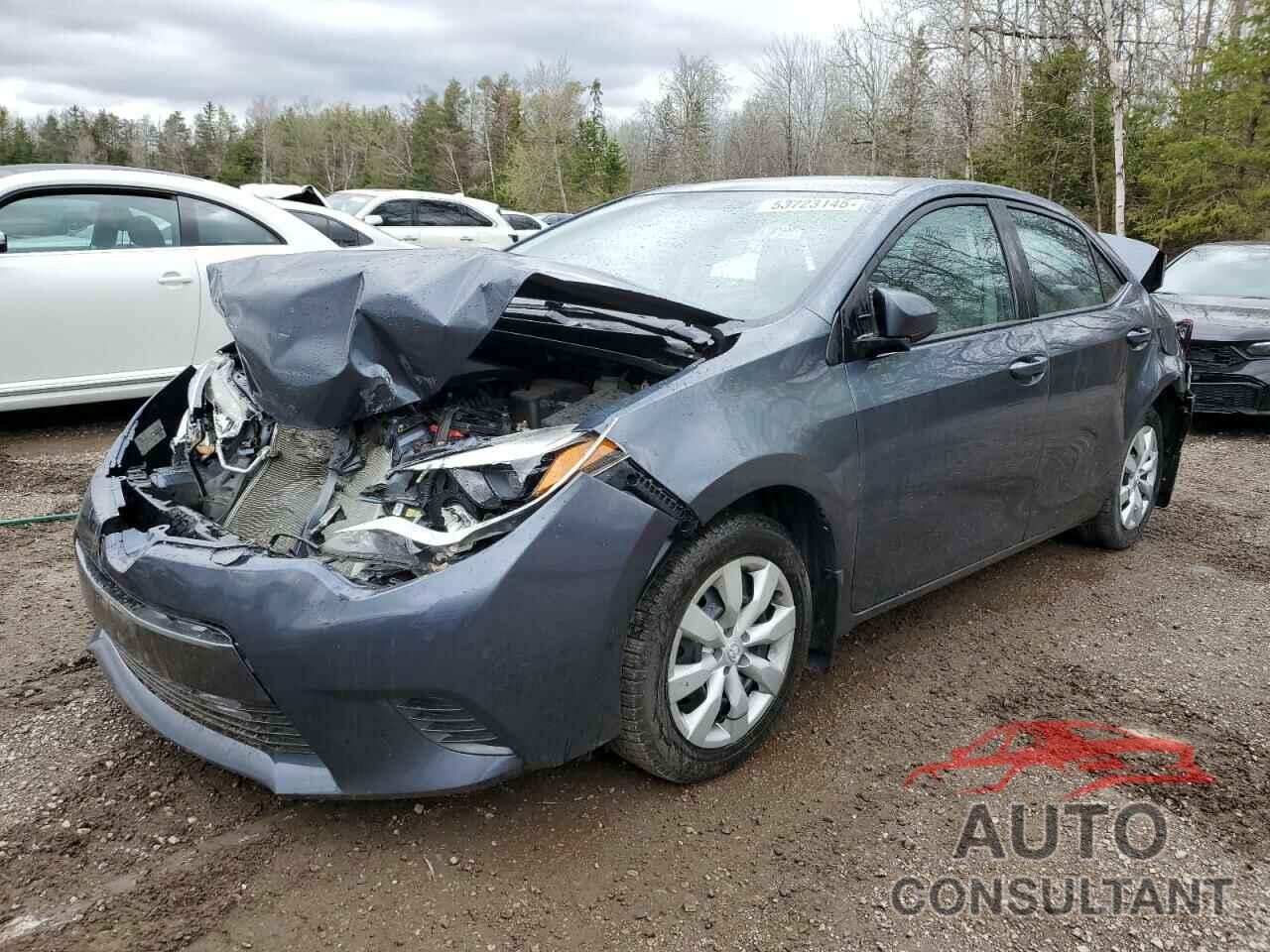 TOYOTA COROLLA 2016 - 2T1BURHE9GC551707