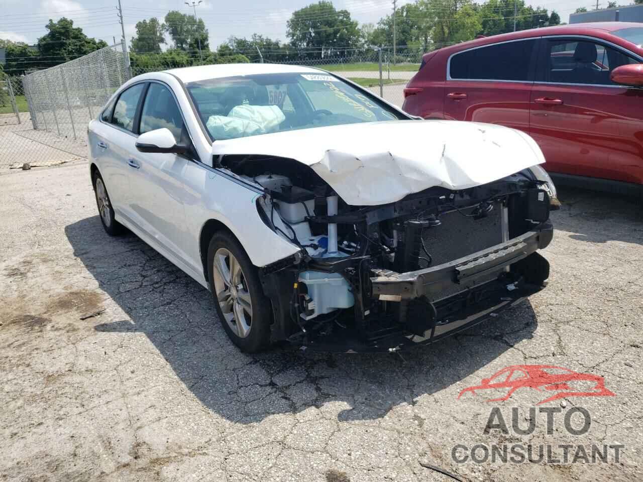 HYUNDAI SONATA 2019 - 5NPE34AF5KH762155