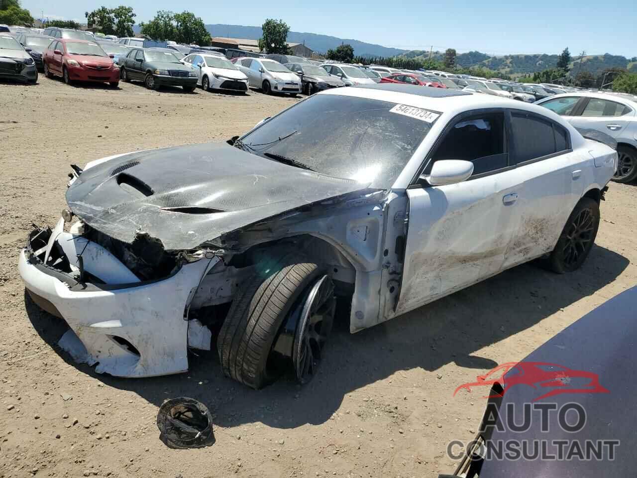 DODGE CHARGER 2019 - 2C3CDXGJ4KH736788