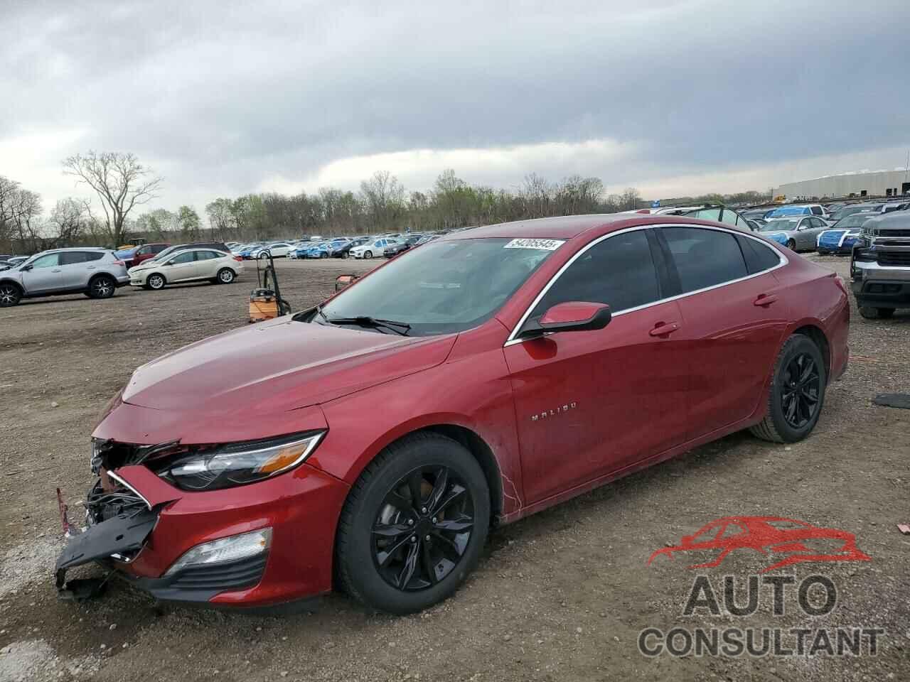 CHEVROLET MALIBU 2022 - 1G1ZD5ST1NF153693