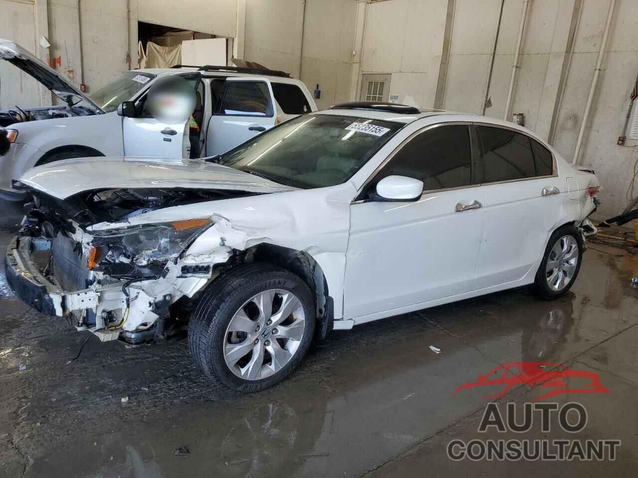 HONDA ACCORD 2010 - 5KBCP3F83AB005902