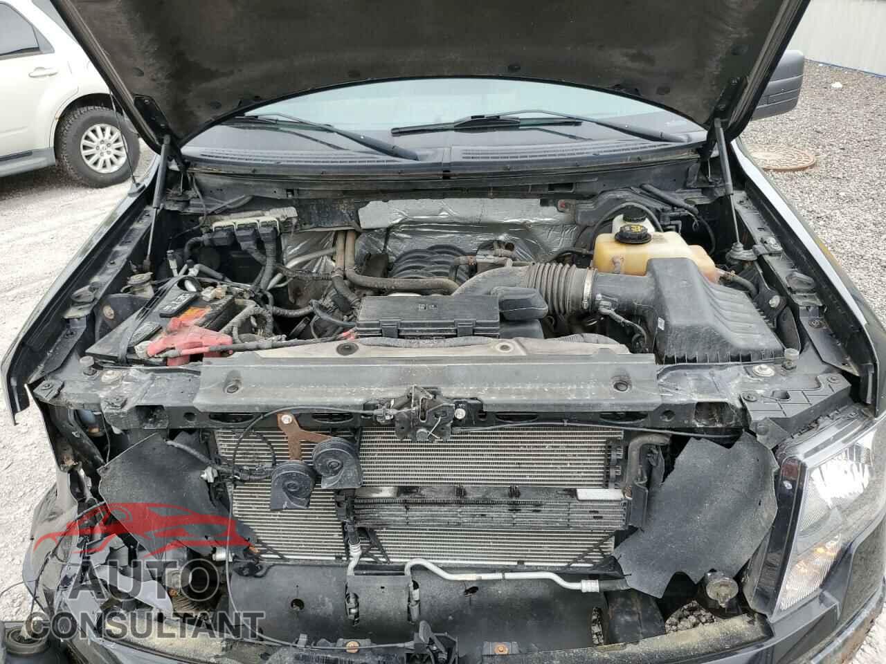 FORD F-150 2013 - 1FTFX1EF4DFD78768