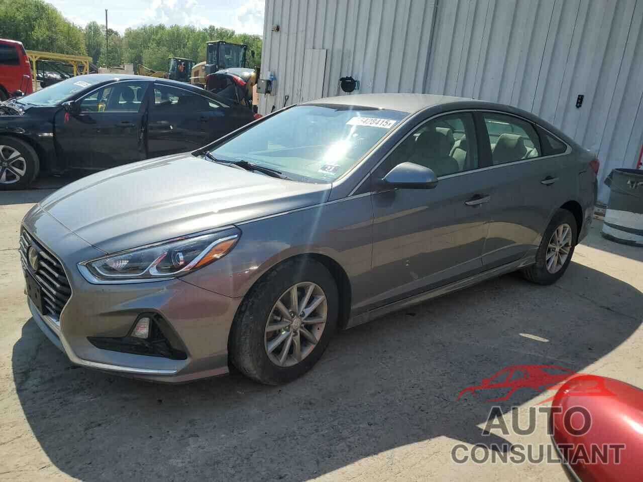 HYUNDAI SONATA 2019 - 5NPE24AF5KH772316