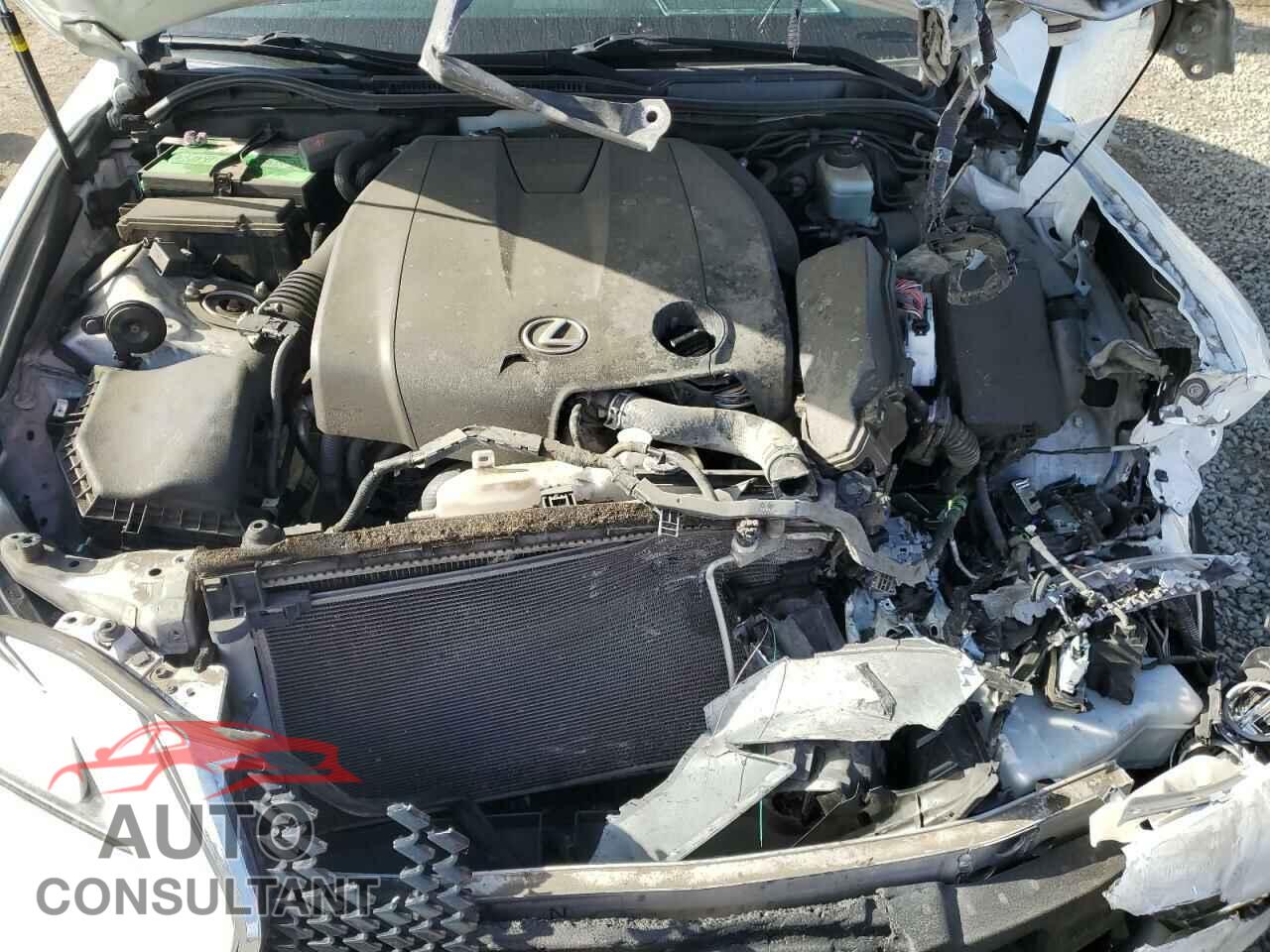 LEXUS IS 2015 - JTHBF1D24F5060348