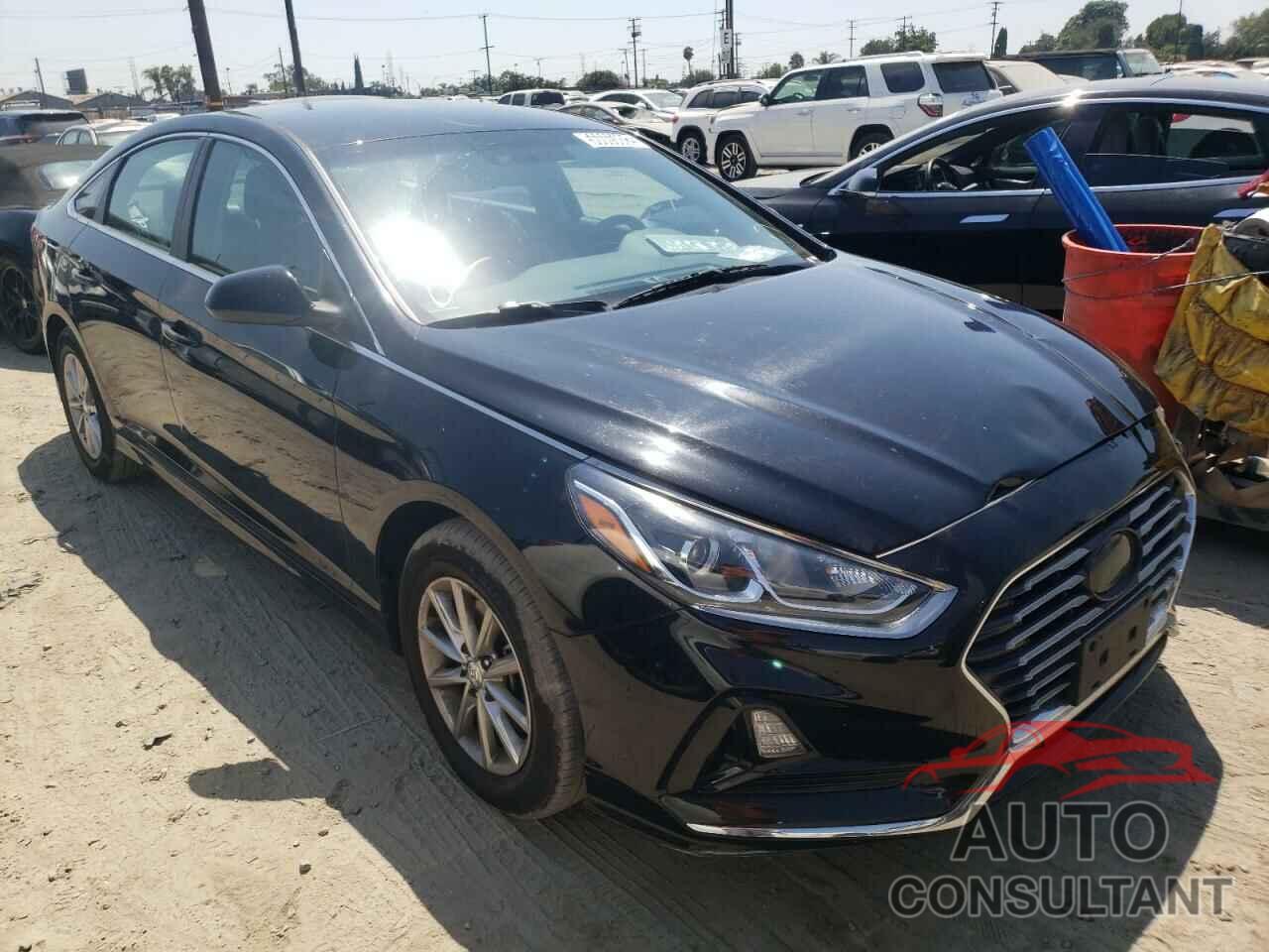 HYUNDAI SONATA 2019 - 5NPE24AF4KH744636