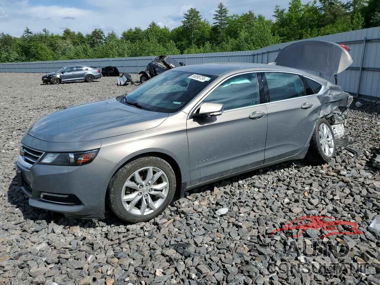 CHEVROLET IMPALA 2019 - 1G11Z5S33KU119468