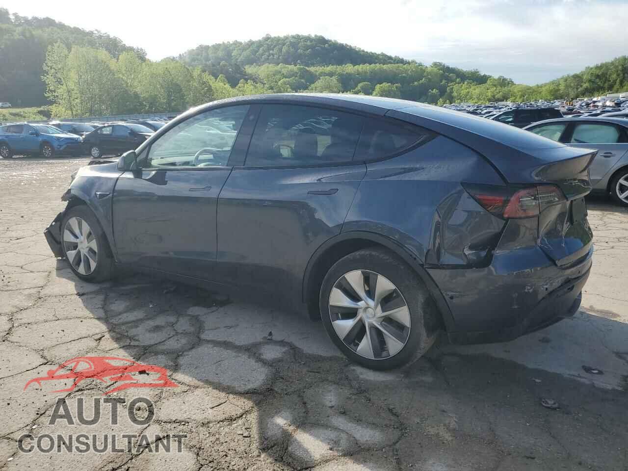 TESLA MODEL Y 2022 - 7SAYGDEE1NF430383