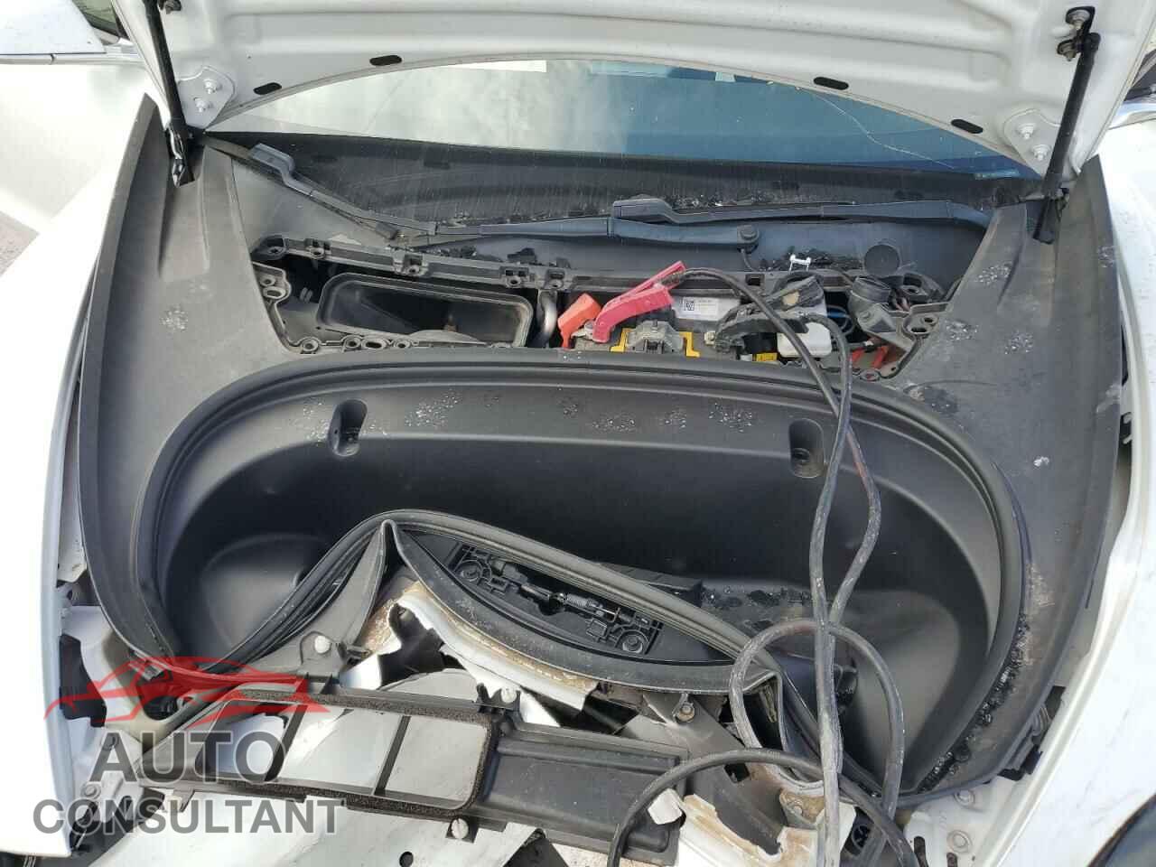 TESLA MODEL 3 2020 - 5YJ3E1EA5LF599358