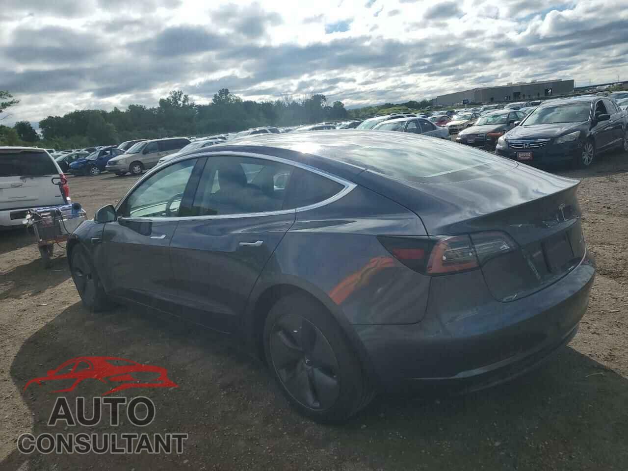 TESLA MODEL 3 2020 - 5YJ3E1EB2LF616464