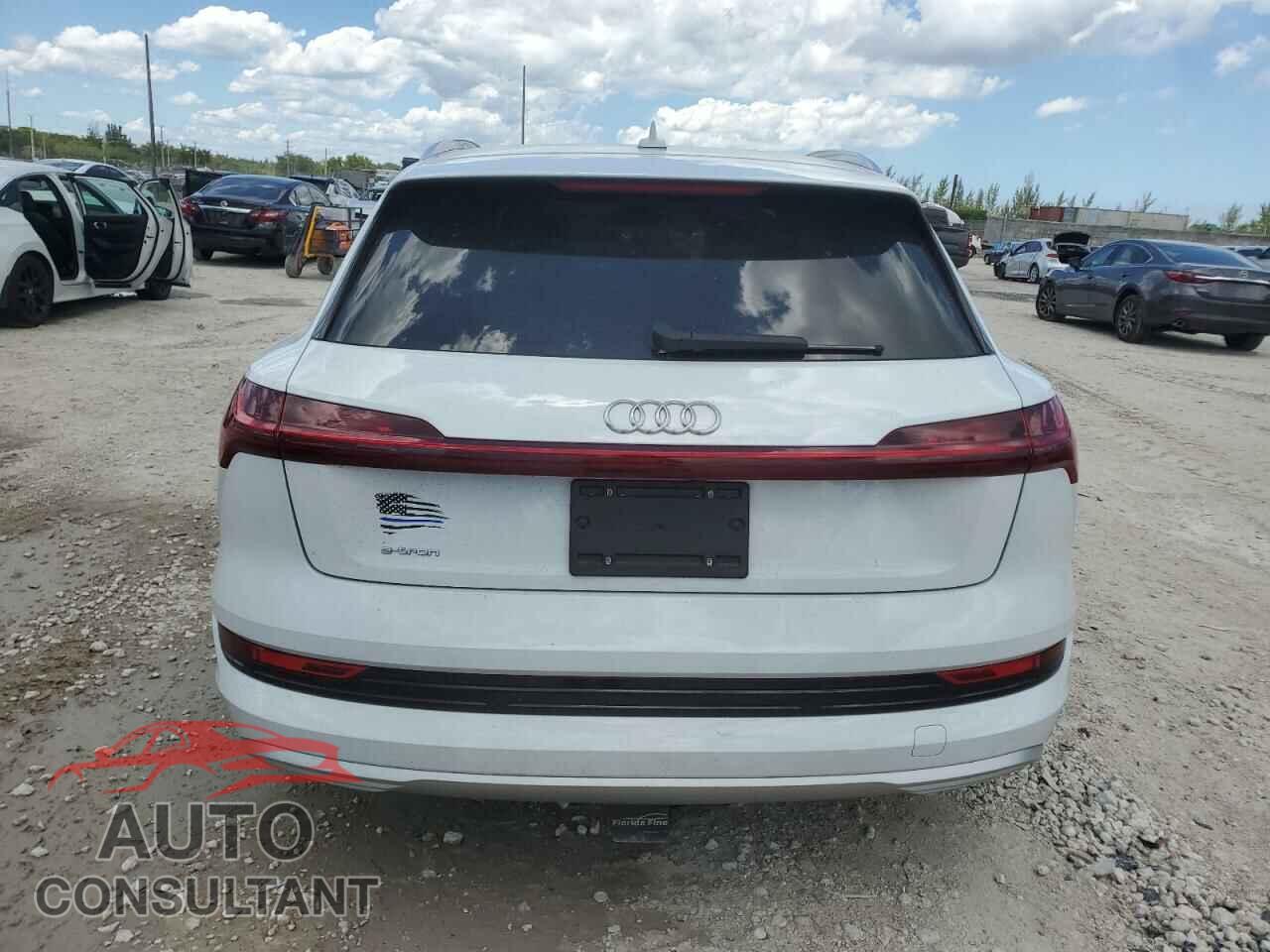 AUDI E-TRON 2019 - WA1VAAGE0KB013133