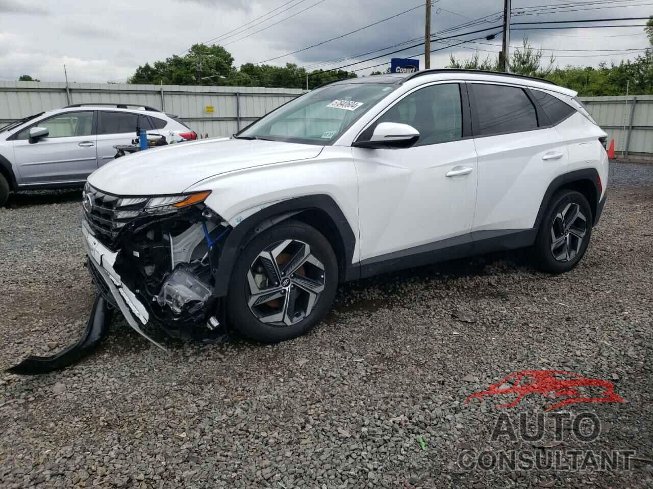 HYUNDAI TUCSON 2023 - KM8JFCA16PU092676