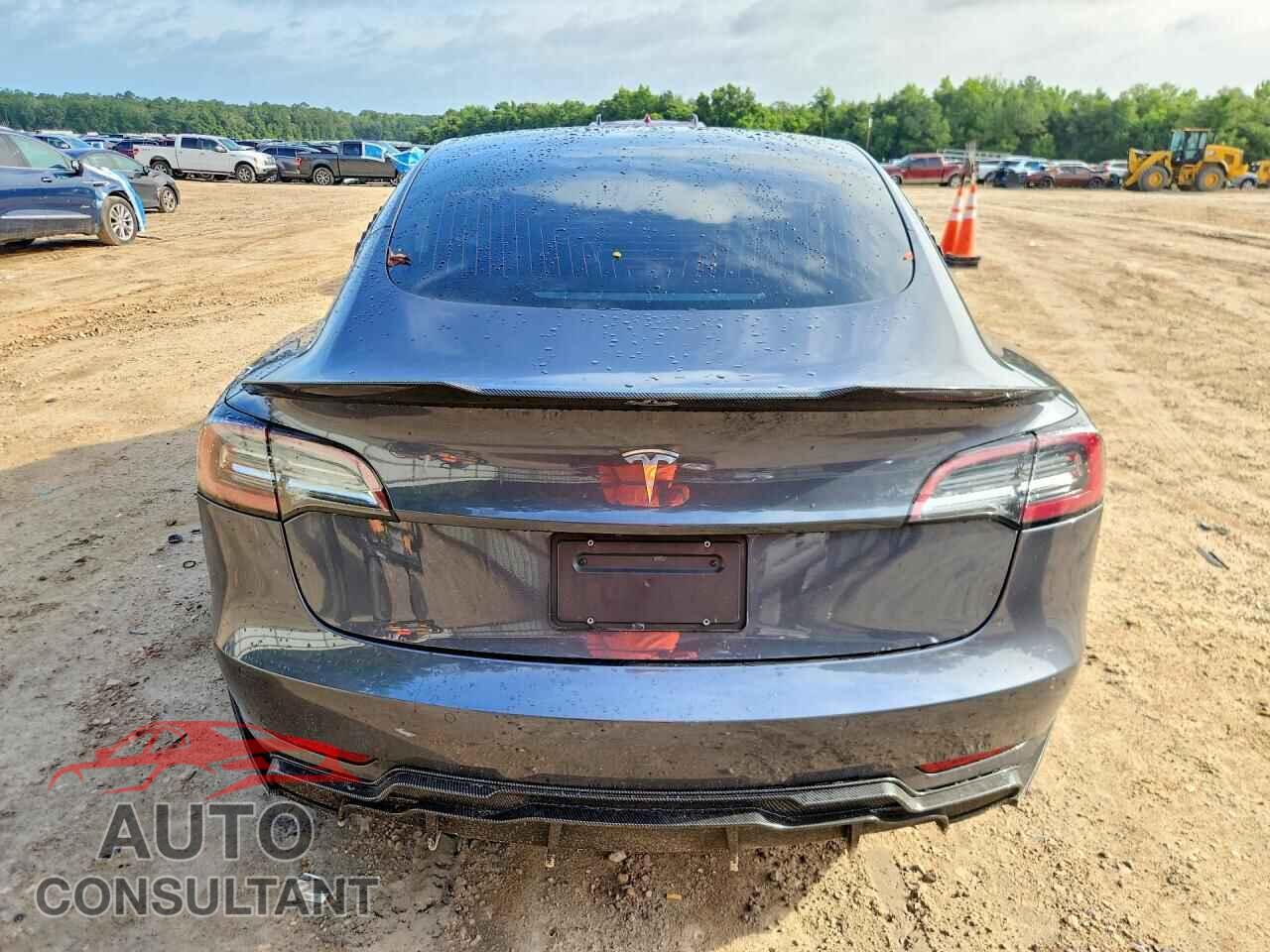 TESLA MODEL 3 2019 - 5YJ3E1EA2KF464191