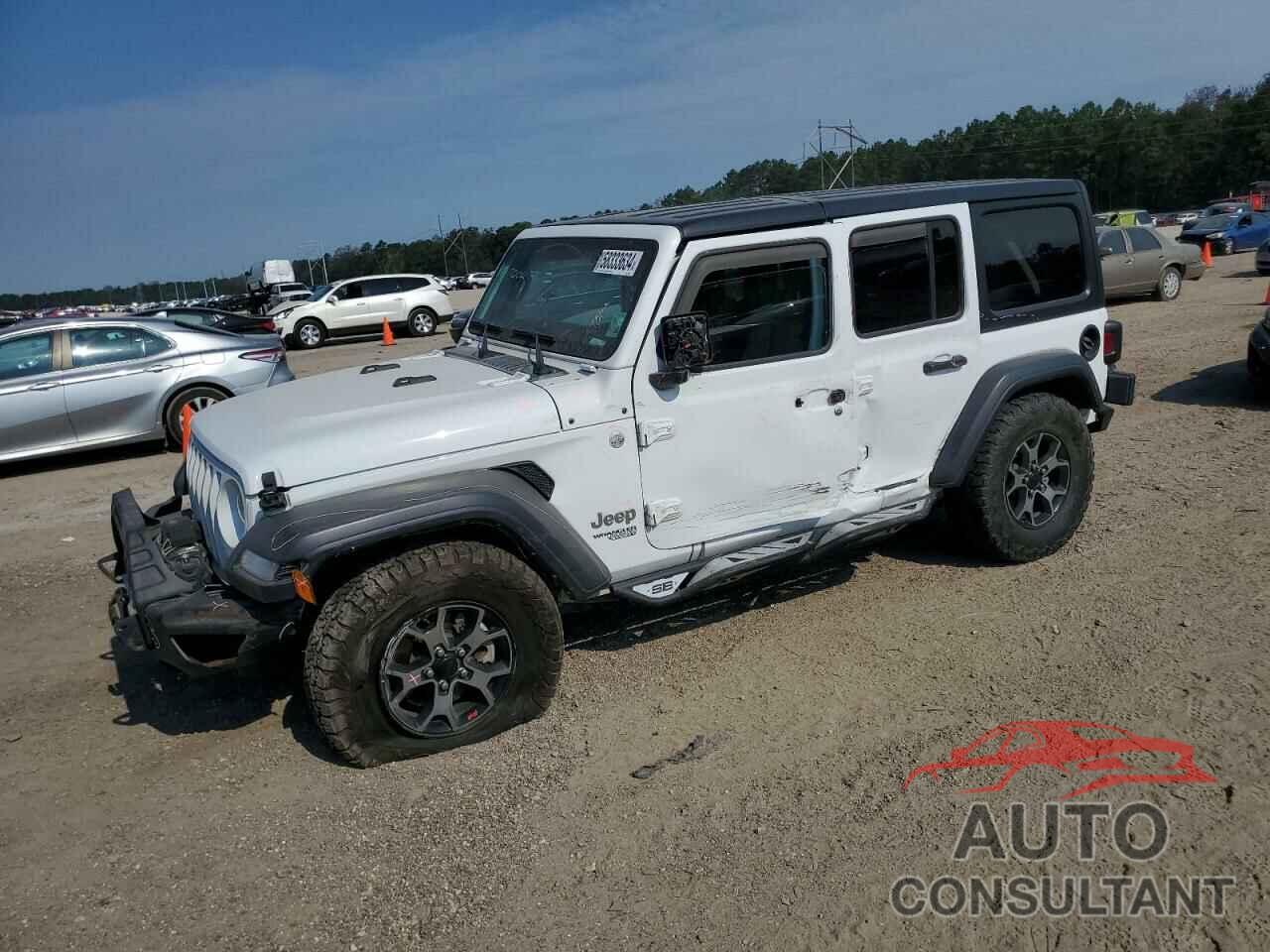 JEEP WRANGLER 2019 - 1C4HJXDG8KW599455