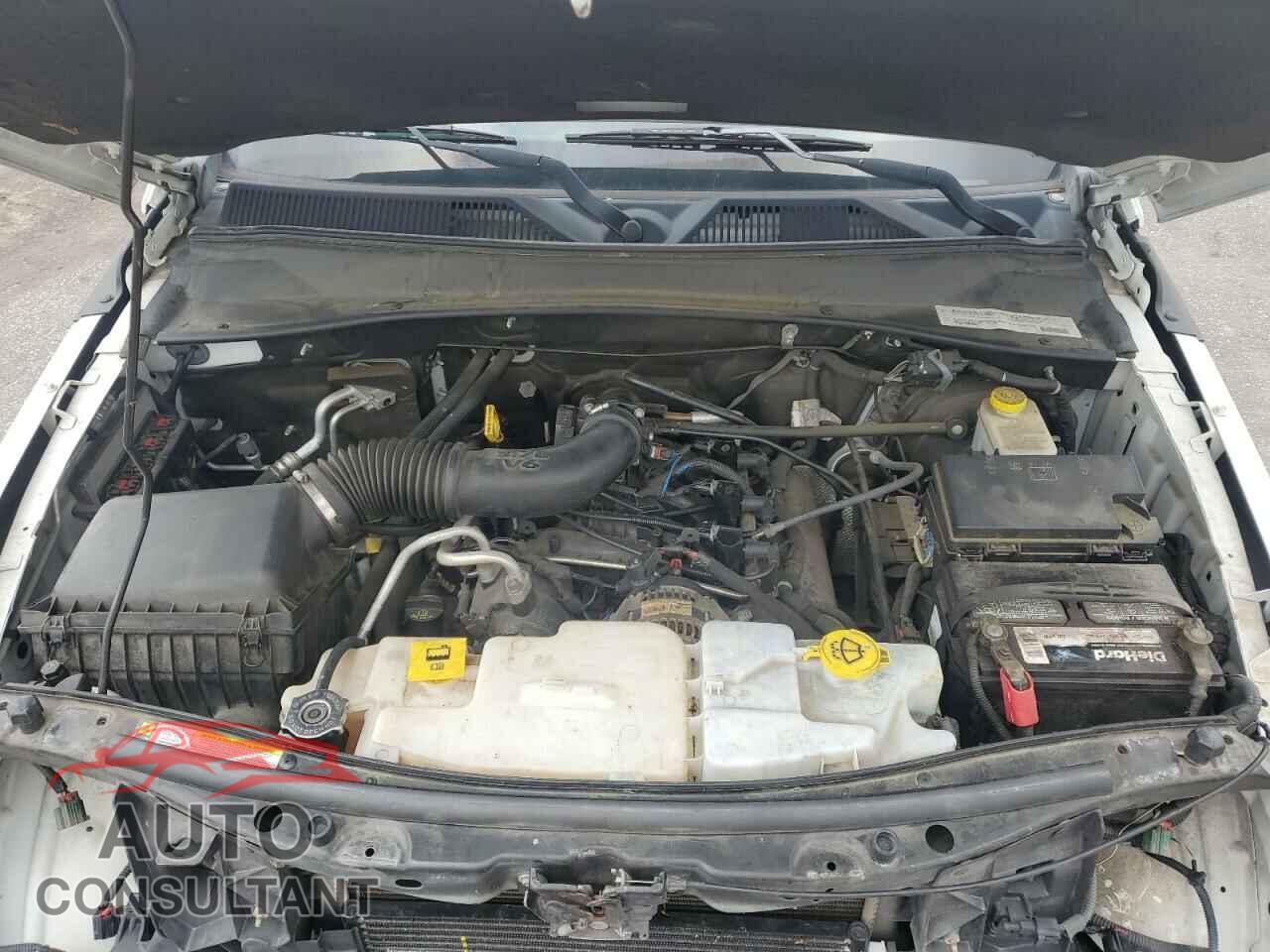 DODGE NITRO 2011 - 1D4PU4GK9BW529192