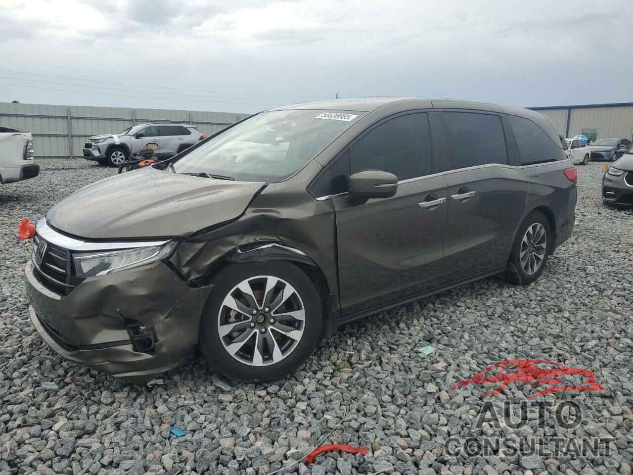 HONDA All Models 2021 - 5FNRL6H77MB036682