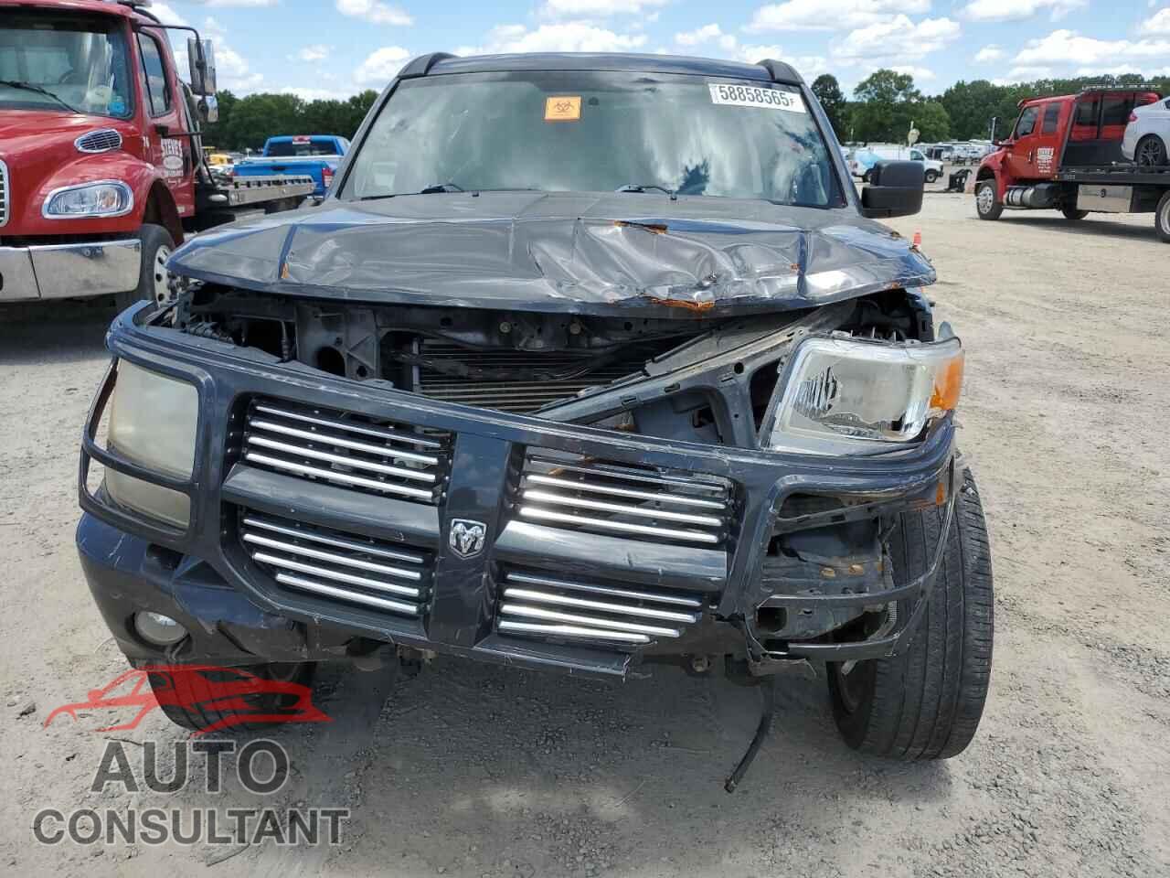 DODGE NITRO 2011 - 1D4PT4GK1BW589213