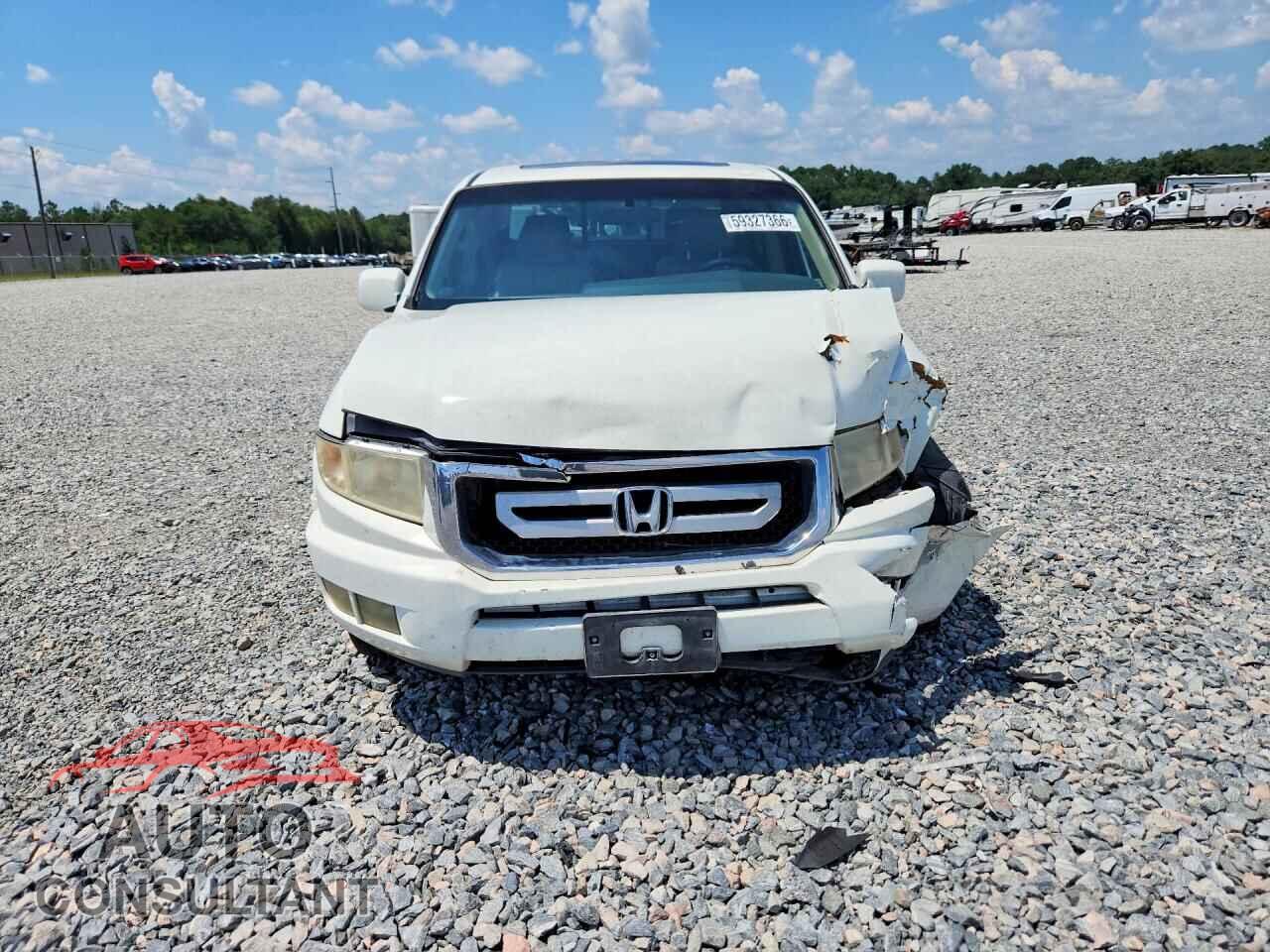 HONDA RIDGELINE 2009 - 5FPYK16509B100935