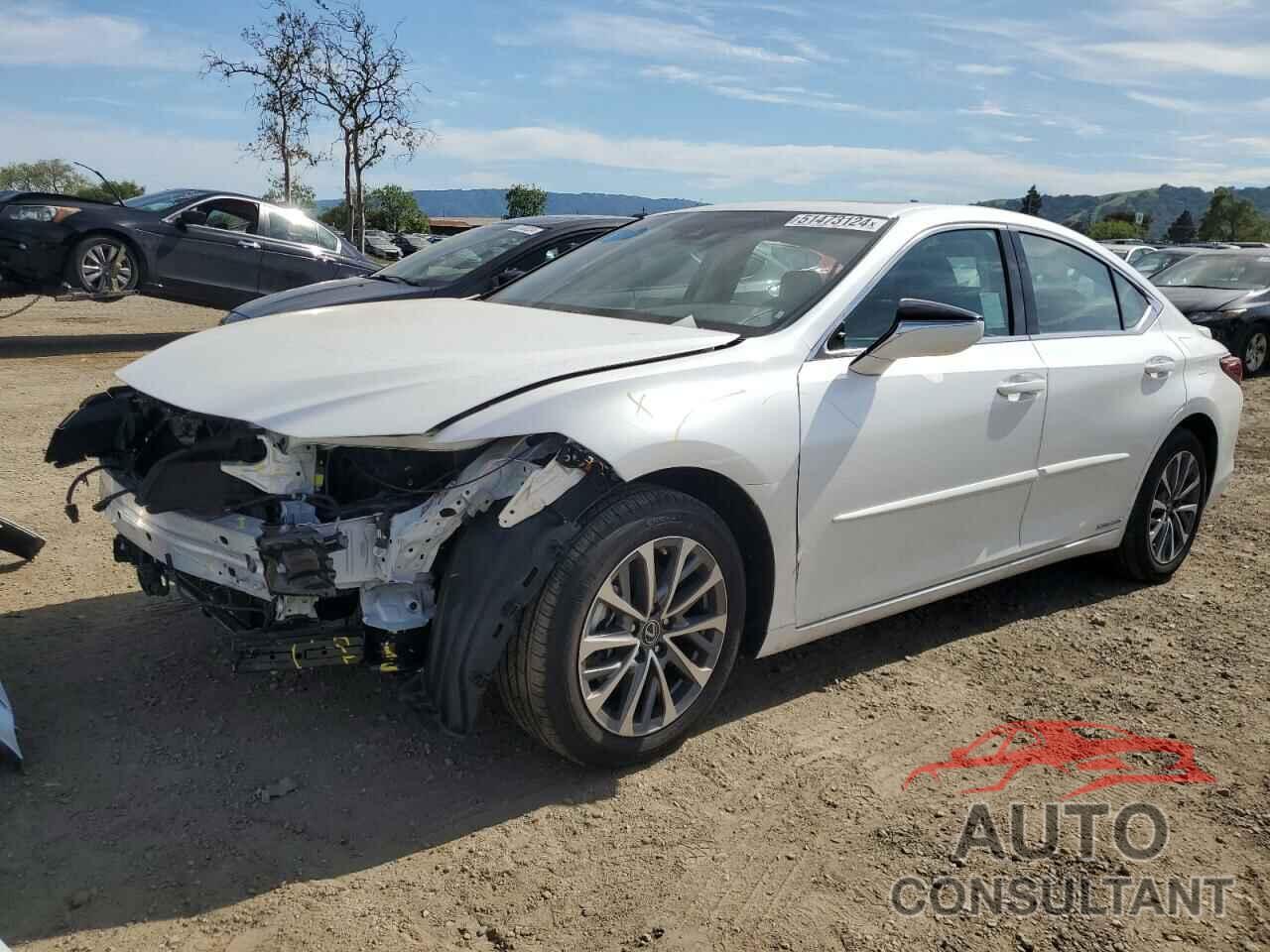 LEXUS ES300 2022 - 58ACA1C13NU023765