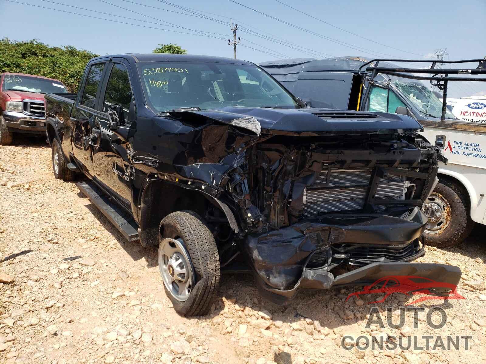 CHEVROLET SILVERADO 2020 - 1GC4YLEY9LF155187