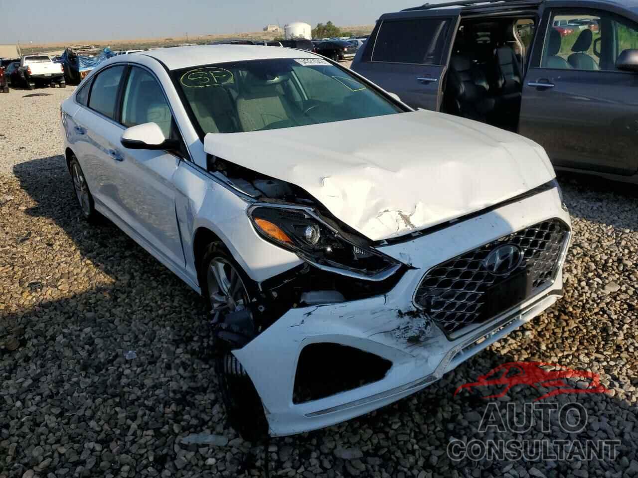 HYUNDAI SONATA 2019 - 5NPE34AF7KH812747