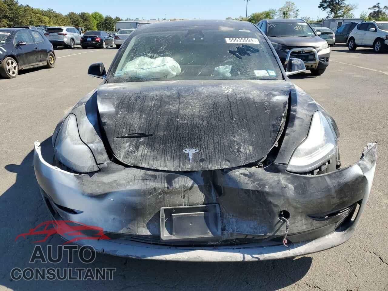 TESLA MODEL 3 2019 - 5YJ3E1EA9KF400035