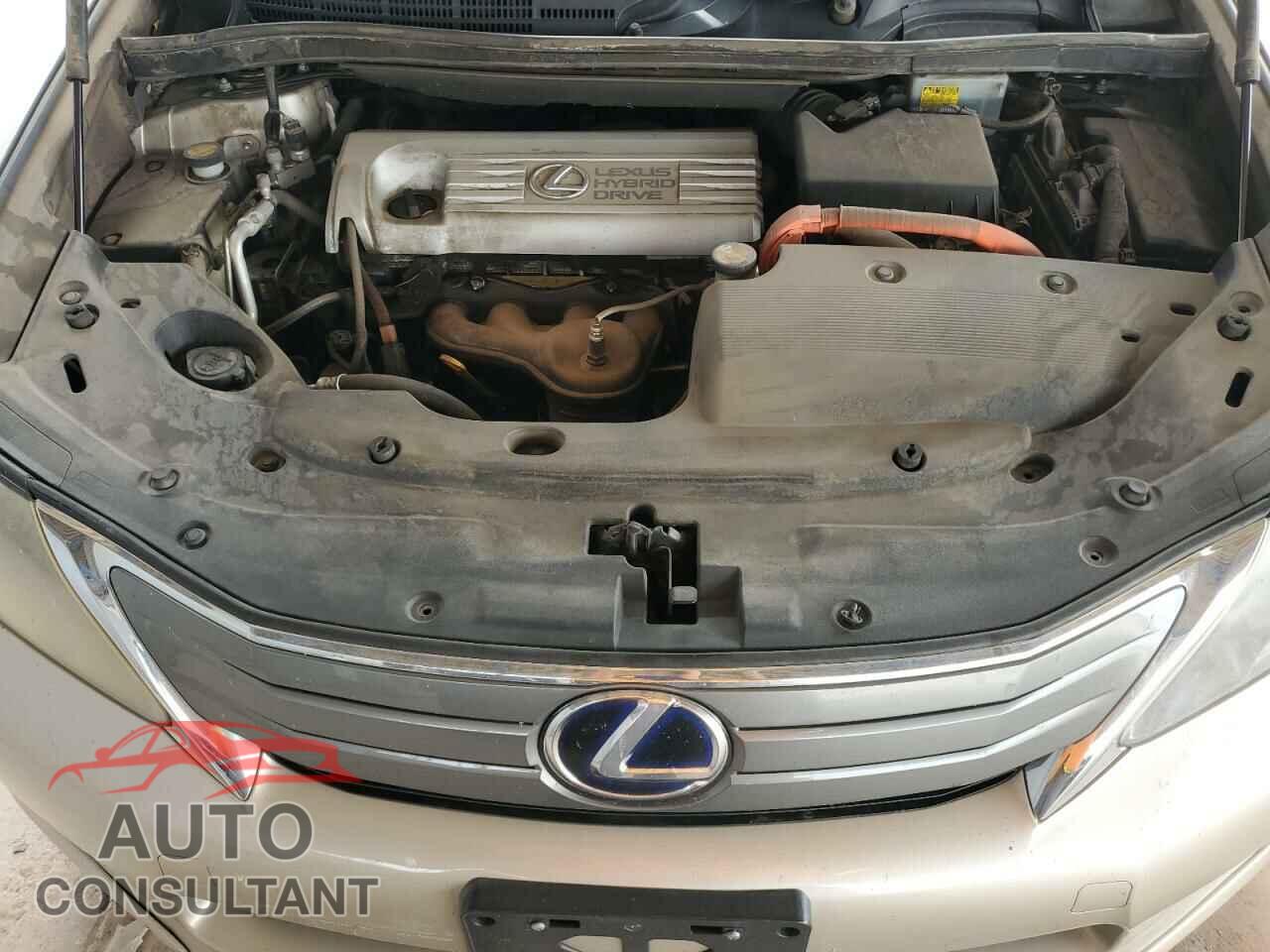 LEXUS HS 2011 - JTHBB1BA9B2044647