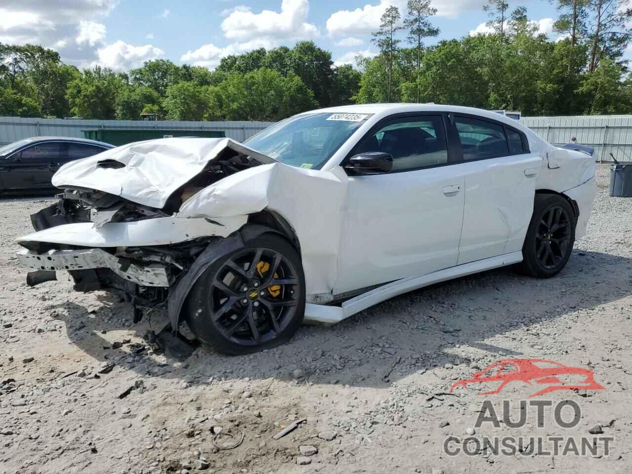 DODGE CHARGER 2019 - 2C3CDXHGXKH693058