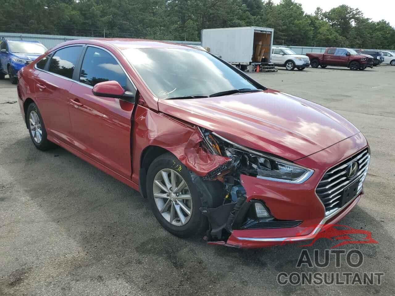HYUNDAI SONATA 2019 - 5NPE24AF6KH742113