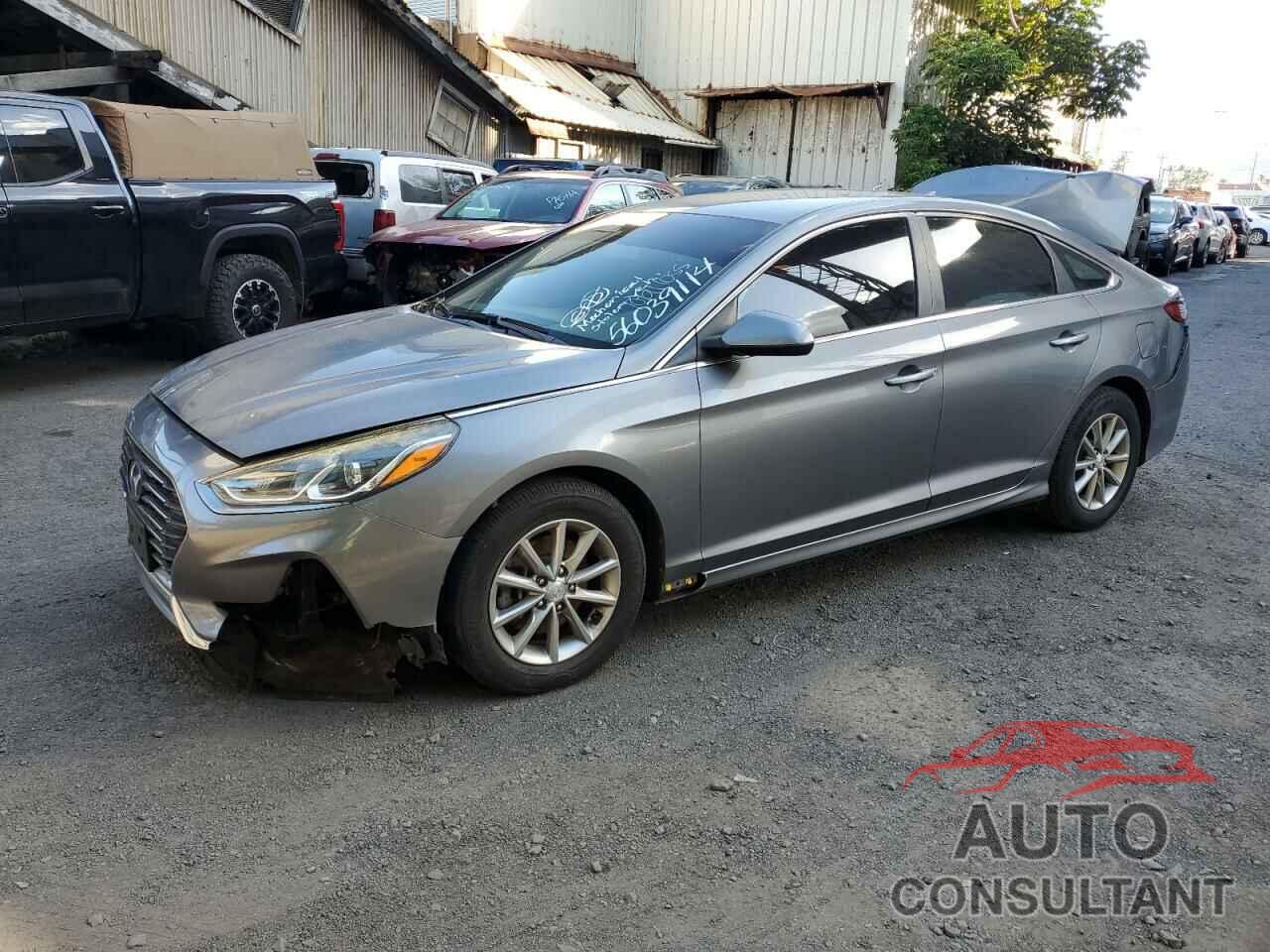 HYUNDAI SONATA 2019 - 5NPE24AF4KH786904