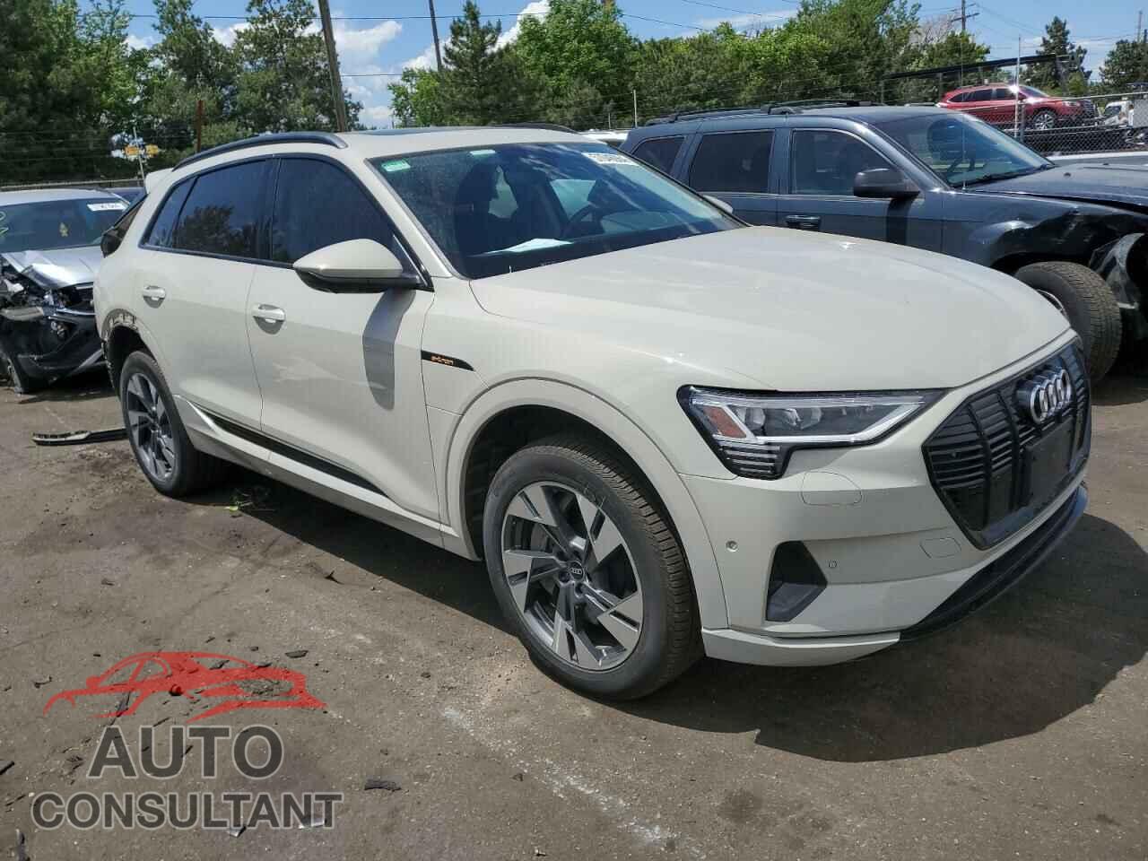 AUDI E-TRON 2021 - WA1AAAGE3MB034608