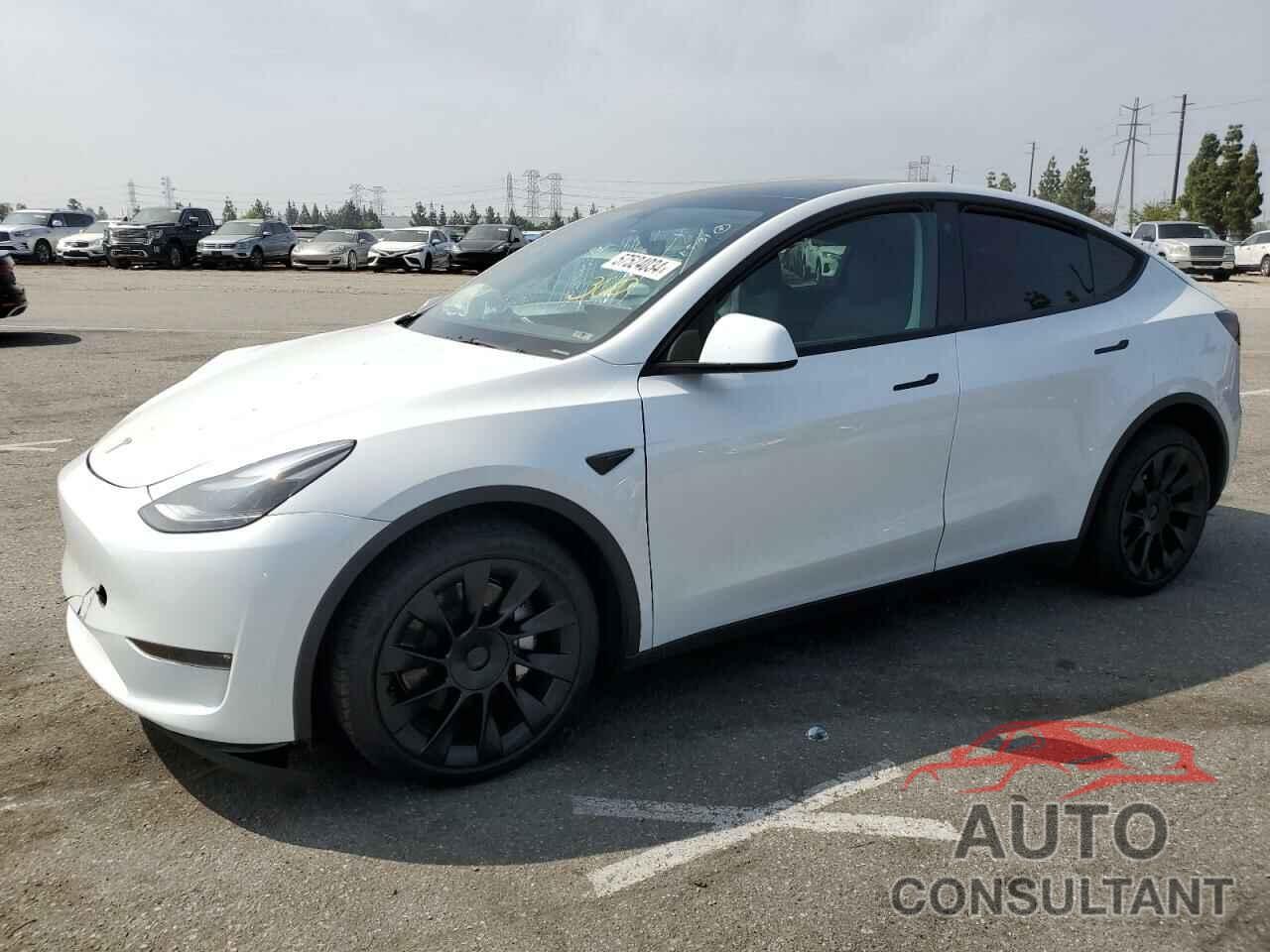 TESLA MODEL Y 2023 - 7SAYGDEE1PF746448