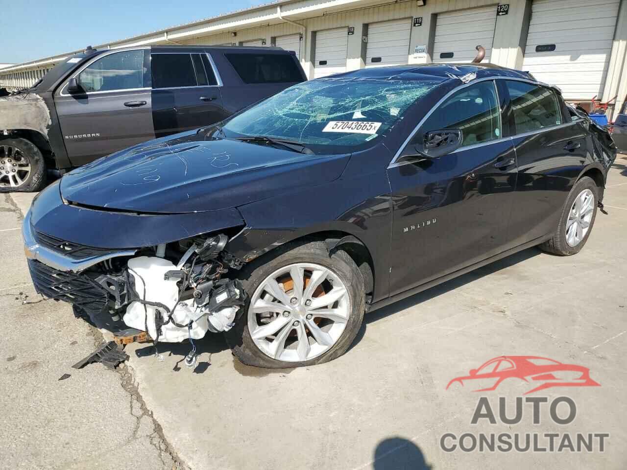 CHEVROLET MALIBU 2023 - 1G1ZD5ST6PF239780