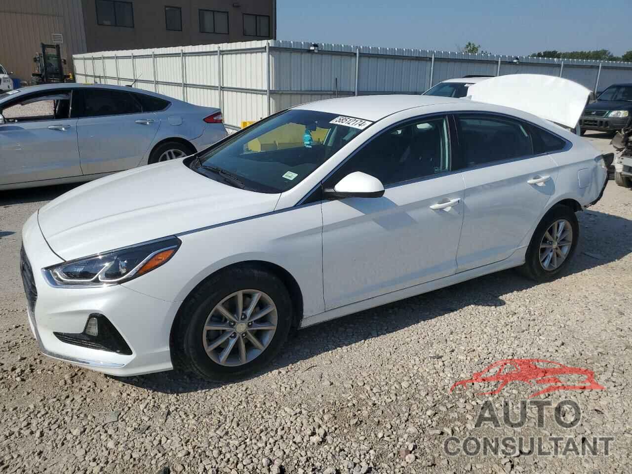 HYUNDAI SONATA 2019 - 5NPE24AF0KH774829