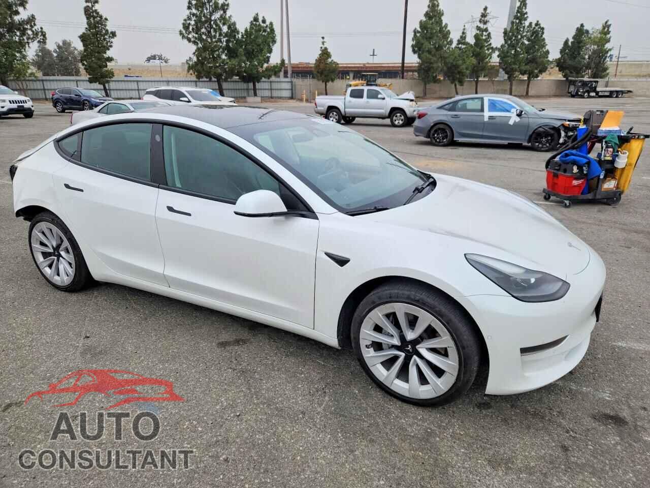 TESLA MODEL 3 2021 - 5YJ3E1EA1MF977855