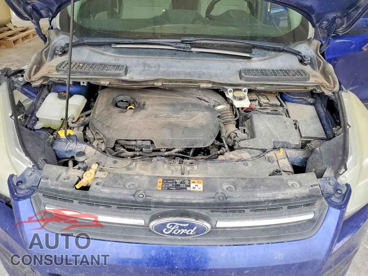 FORD ESCAPE 2014 - 1FMCU0GX0EUD80098