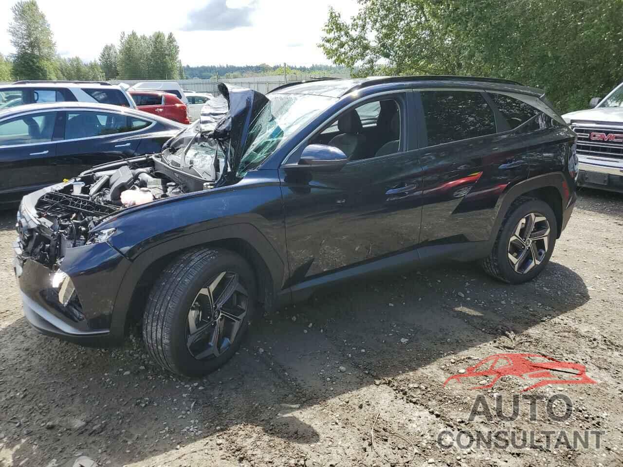 HYUNDAI TUCSON 2024 - KM8JCCD17RU143013