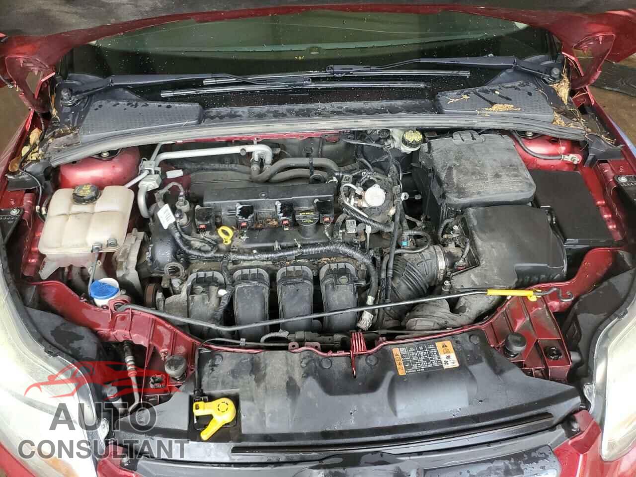 FORD FOCUS 2014 - 1FADP3K2XEL383874